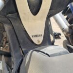 CONTRA ESCUDO 1680004