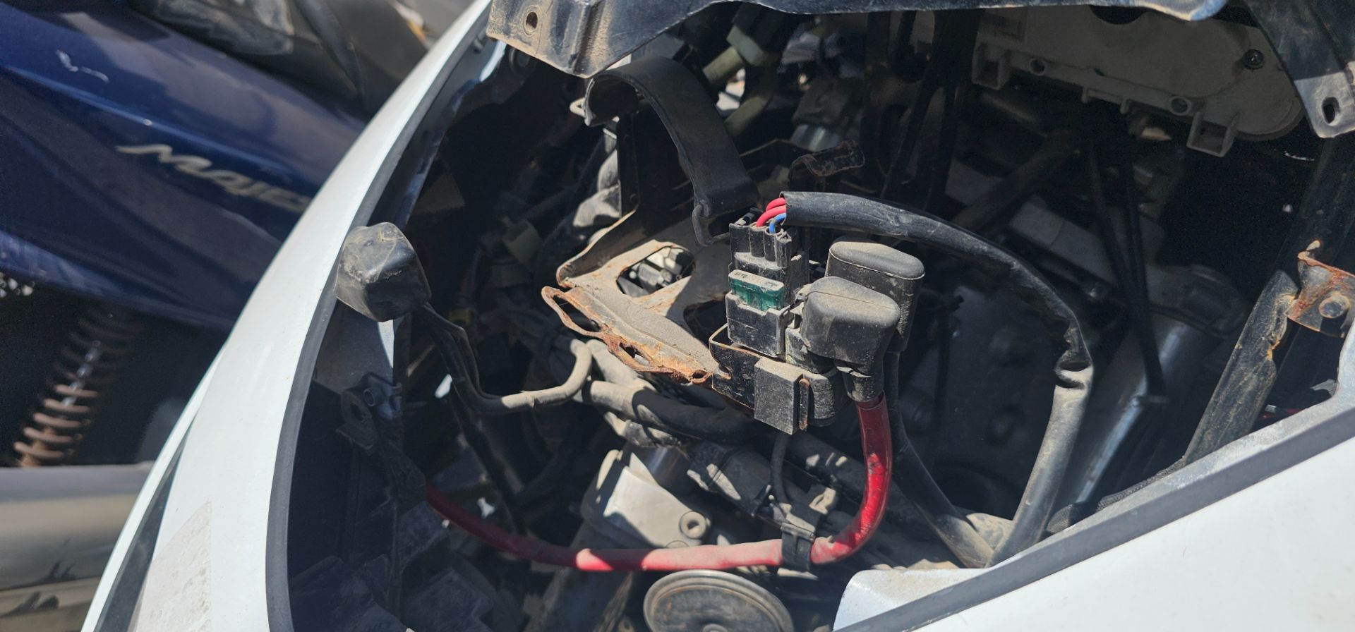 ARAÑA 1679973 ARAÑA 1679973