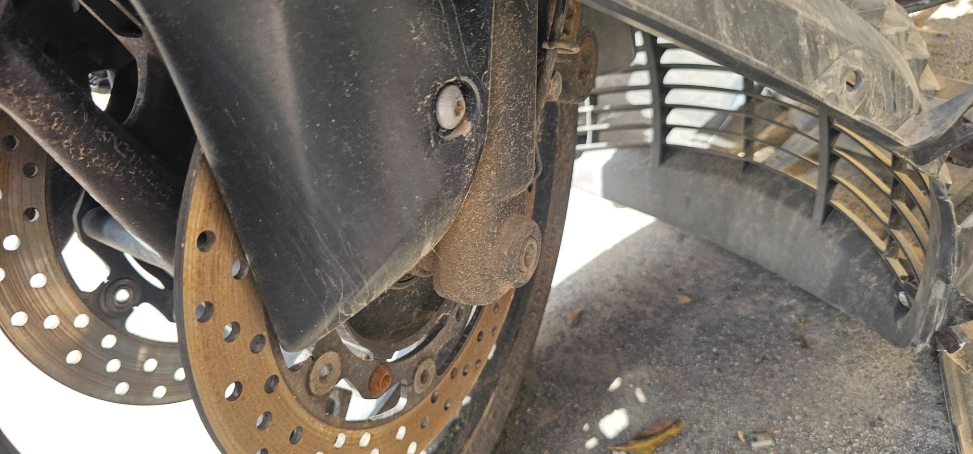 DISCO FRENO DELANTERO 1680009 DISCO FRENO DELANTERO 1680009