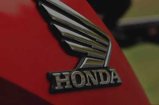 Desguaces Grupo Redia